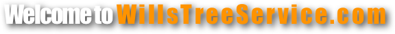 Welcome to WillsTreeService.com