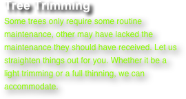 Tree Trimming﻿
Some trees only require some routine maintenance, other may have lacked the maintenance they should have received. Let us straighten things out for you. Whether it be a light trimming or a full thinning, we can accommodate.
