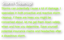 Storm Cleanup
Storms can potentially cause a lot of damage. I specialize in both proactive and reactive storm cleanup. if there are trees you might be concerned about, let me get them down safely, when and how you determine. Save yourself potential insurance claims and headaches after a disastrous storm.

