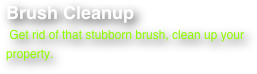 Brush Cleanup
 Get rid of that stubborn brush, clean up your property. 


